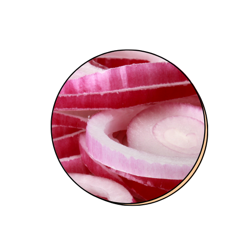 Plant-Derived Prebiotics
