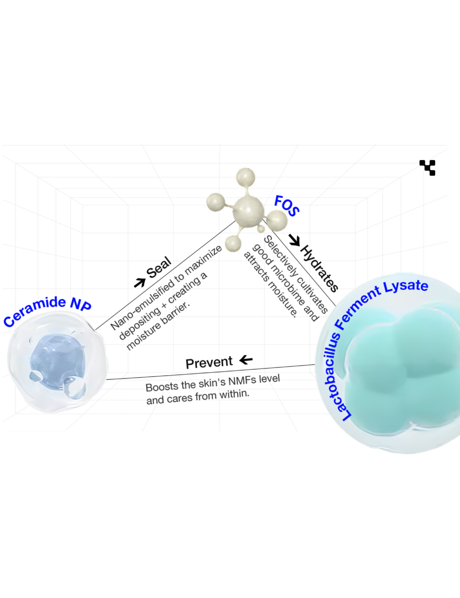 Flat lay of skincare ingredients showcasing a thoughtful, synergistic formulation approach