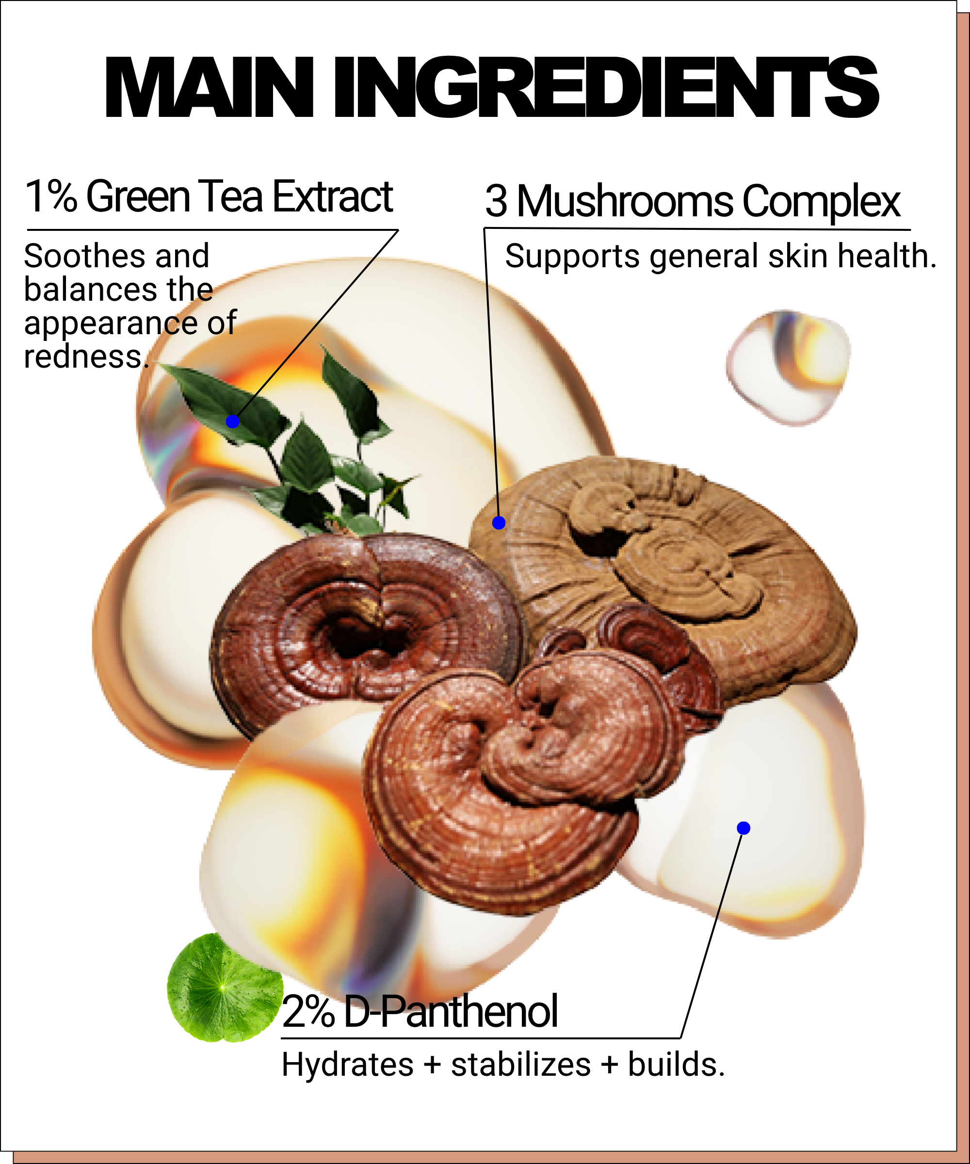 Mushroom B5 Toning Cocktail - EqualRXN