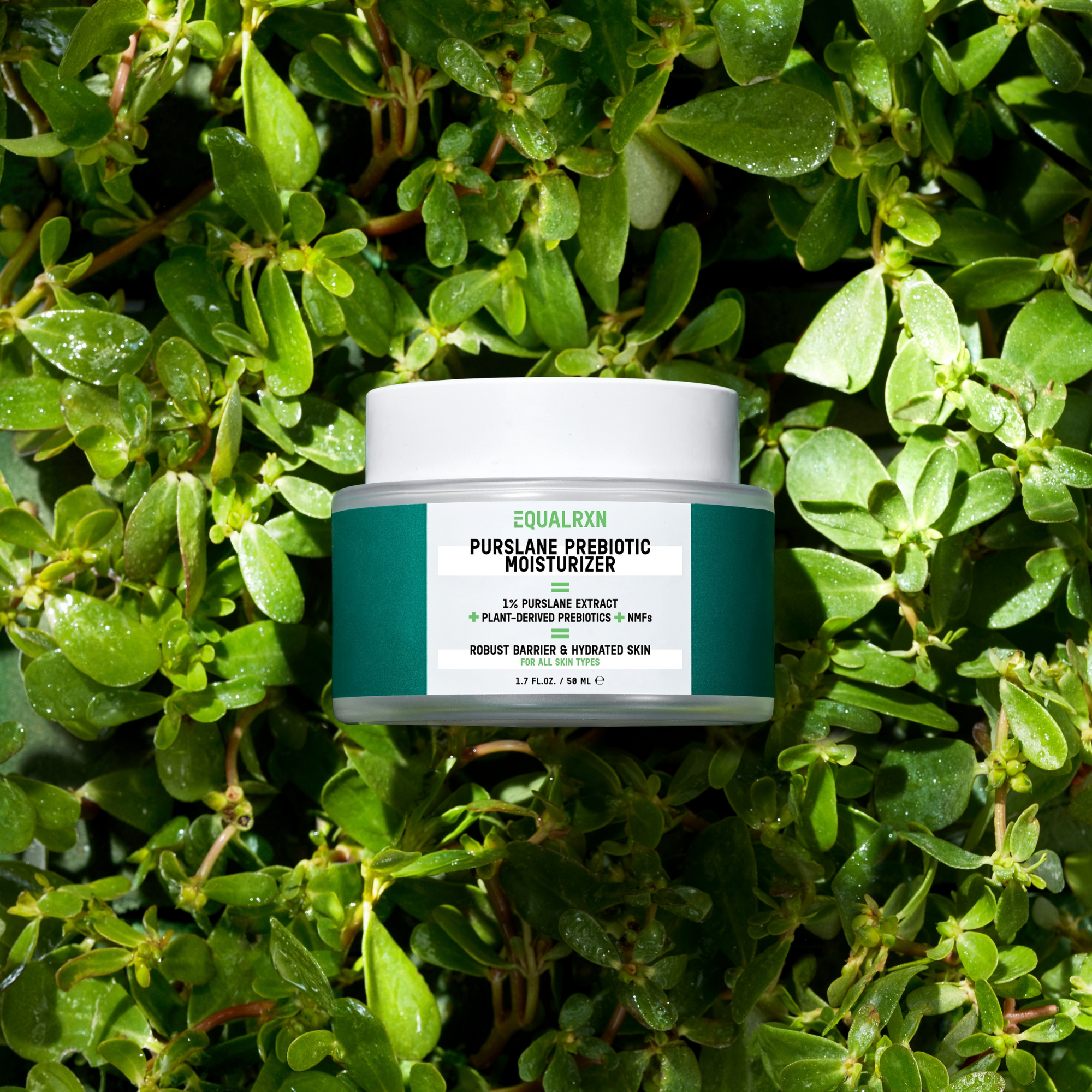 Purslane Prebiotic Moisturizer - EqualRXN