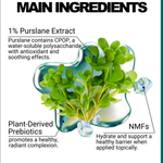 Purslane Prebiotic Moisturizer - EqualRXN