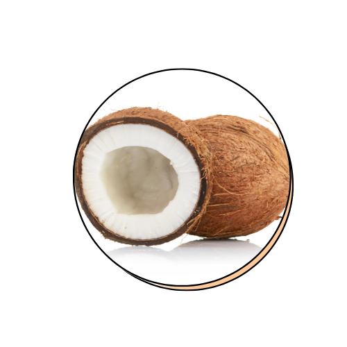 Potassium Cocoyl Glycinate