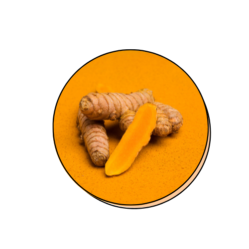Curcuma Longa (Turmeric) Root Extract