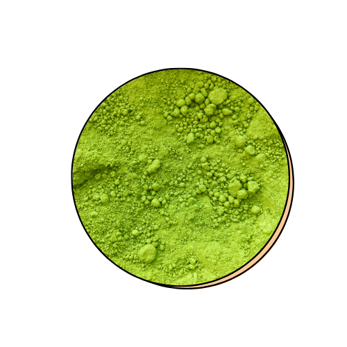 Epigallocatechin Gallate