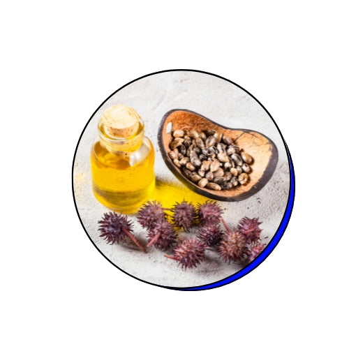 Ricinus Communis (Castor) Seed Oil