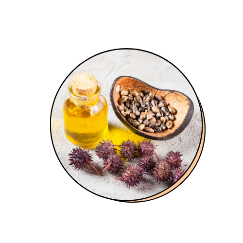 Ricinus Communis (Castor) Seed Oil
