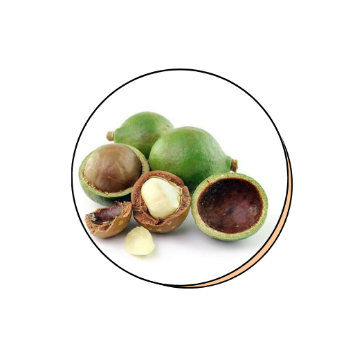 Calophyllum Inophyllum Seed Oil