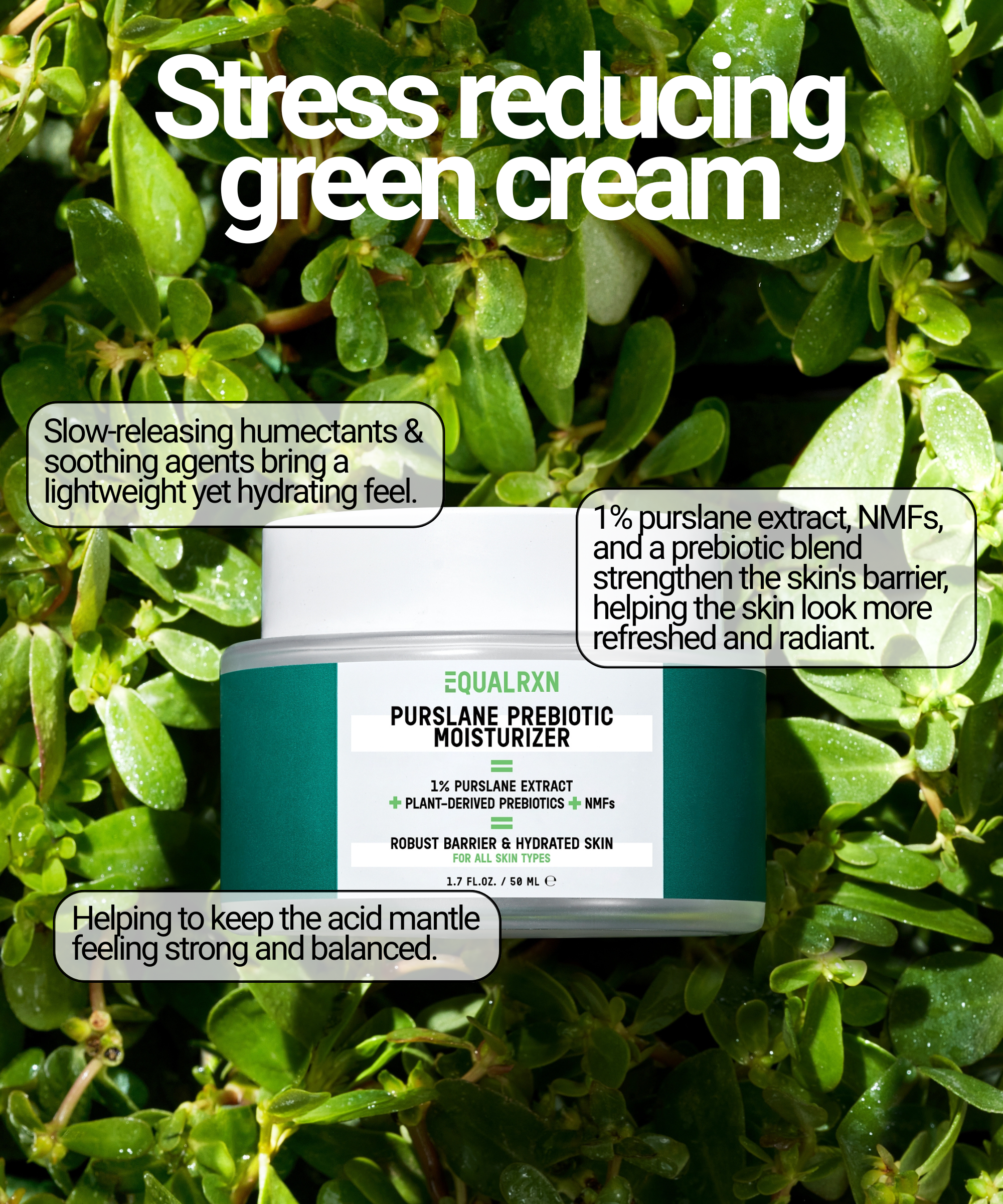 Purslane Prebiotic Moisturizer - EqualRXN