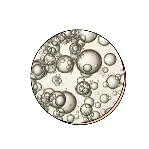 Lactobionic Acid (6%)