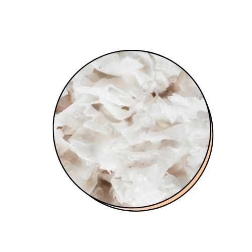 Snow Mushroom Polysaccharide
