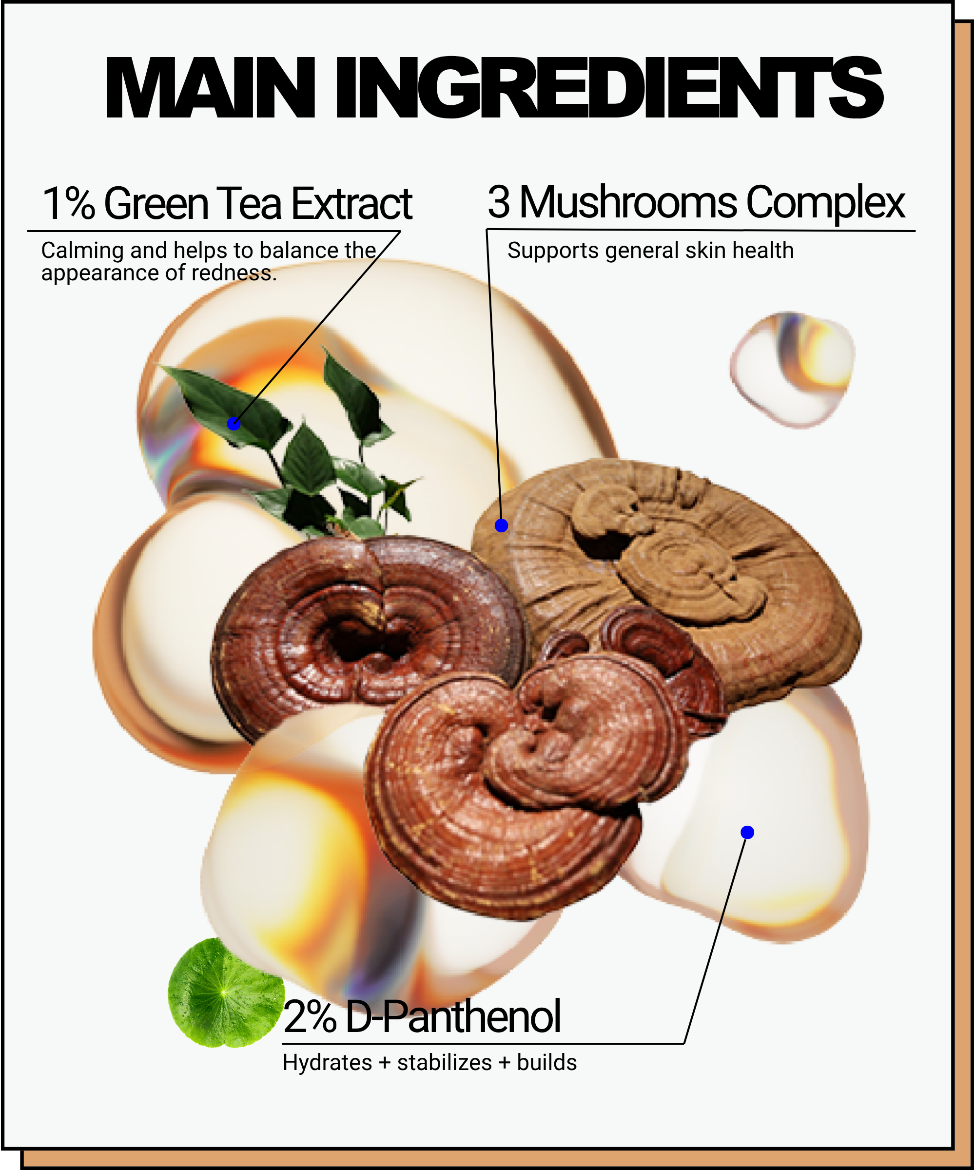 Mushroom B5 Toning Cocktail
