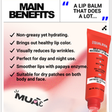 Goji Ectoin Recovery Lip Balm - EqualRXN