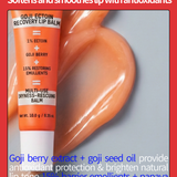 Dryness Rescue Bundle (Purslane Prebiotic Moisturizer + Goji Ectoin Recovery Lip Balm) - EqualRXN