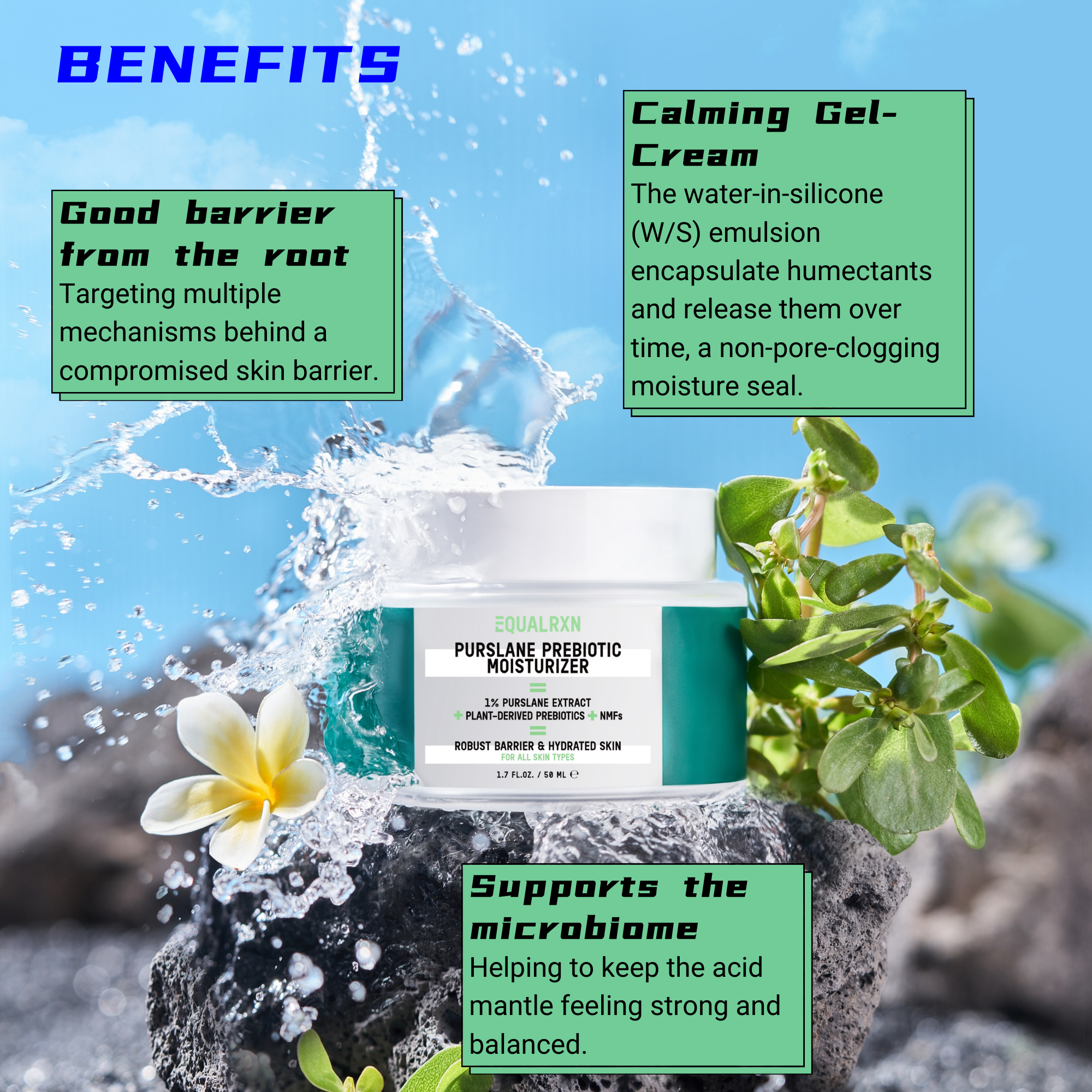 Purslane Prebiotic Moisturizer - EqualRXN
