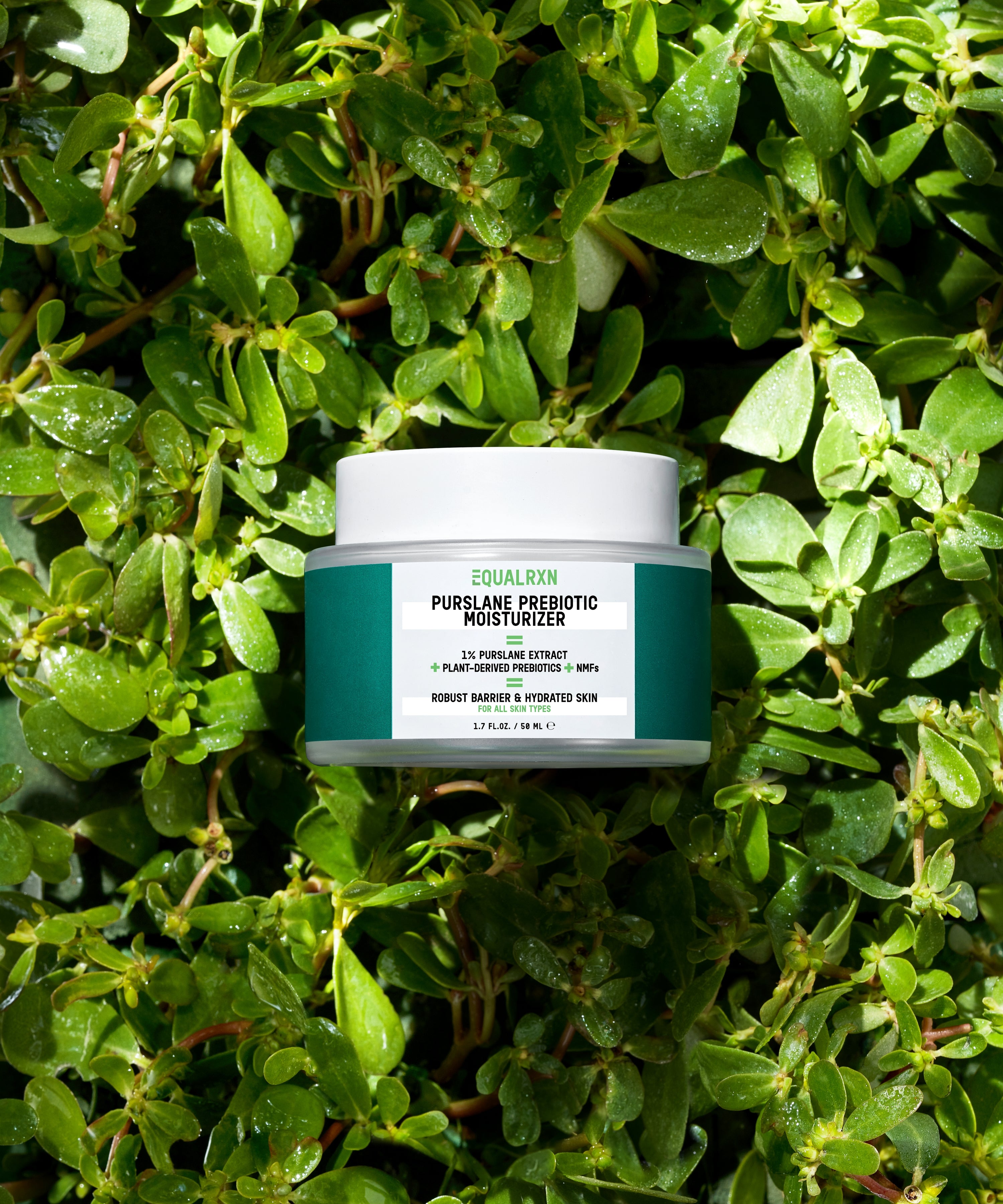 Purslane Prebiotic Moisturizer - EqualRXN