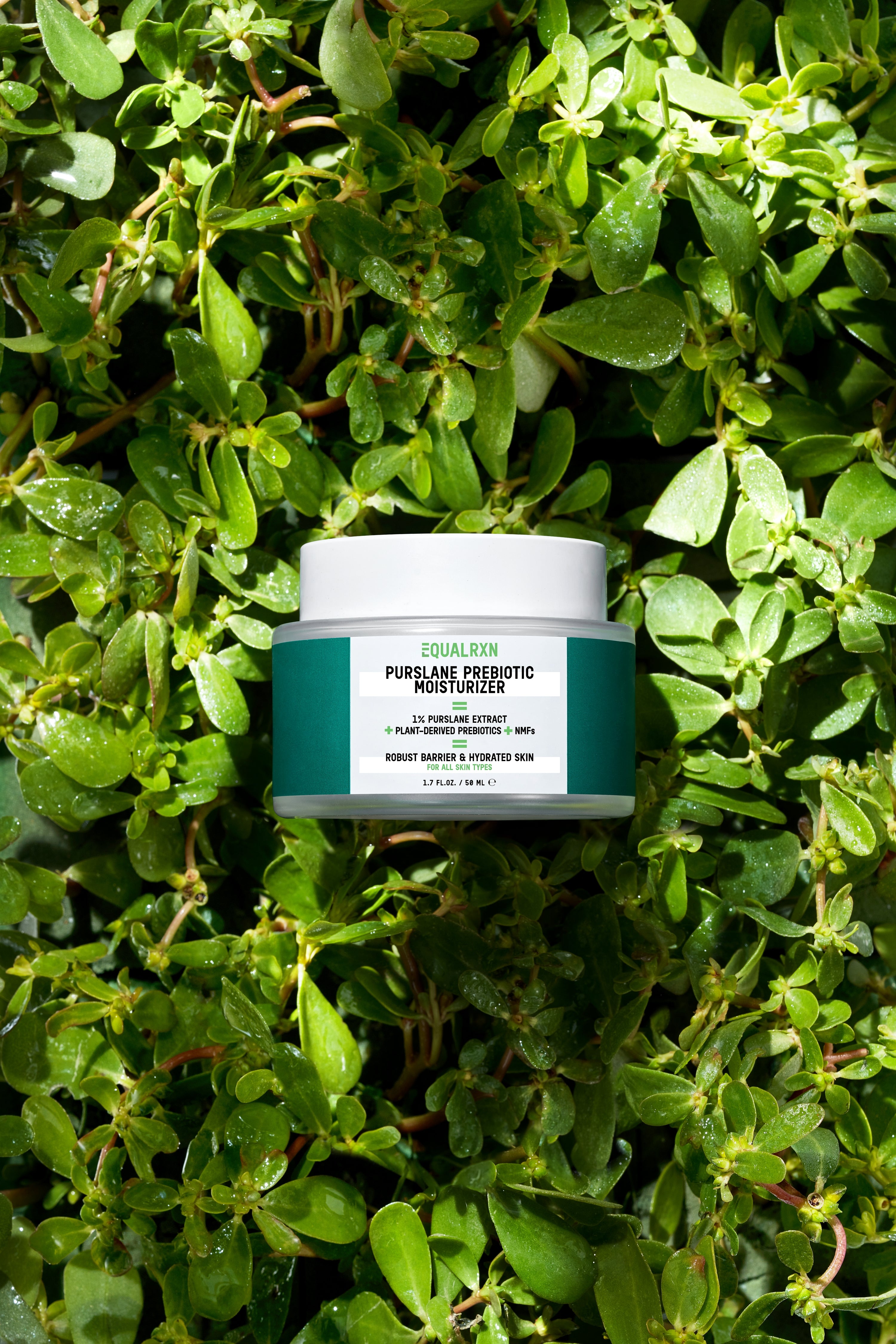 Purslane Prebiotic Moisturizer - EqualRXN